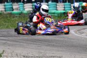 20110501_ales_agnus (2629)